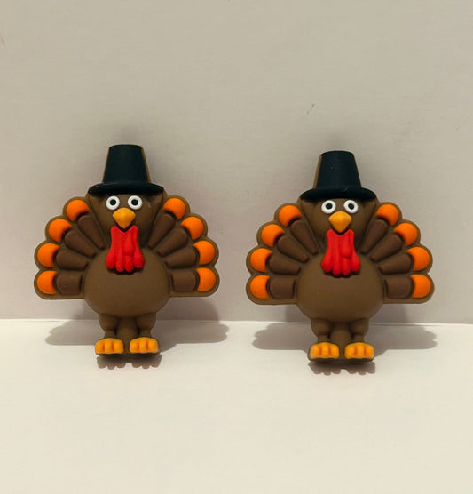 3D Turkey Focal