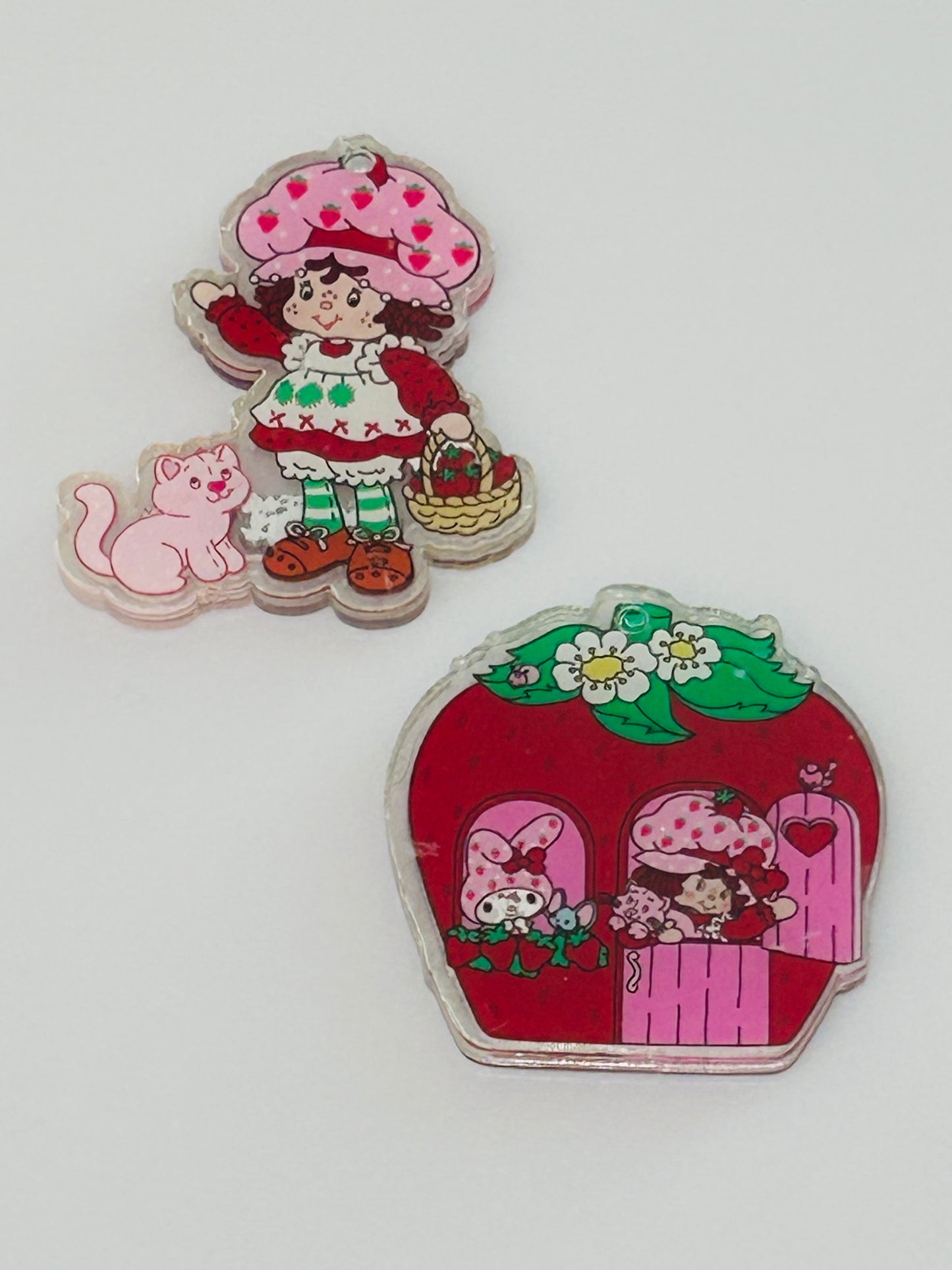 Strawberry Acrylic Shaker