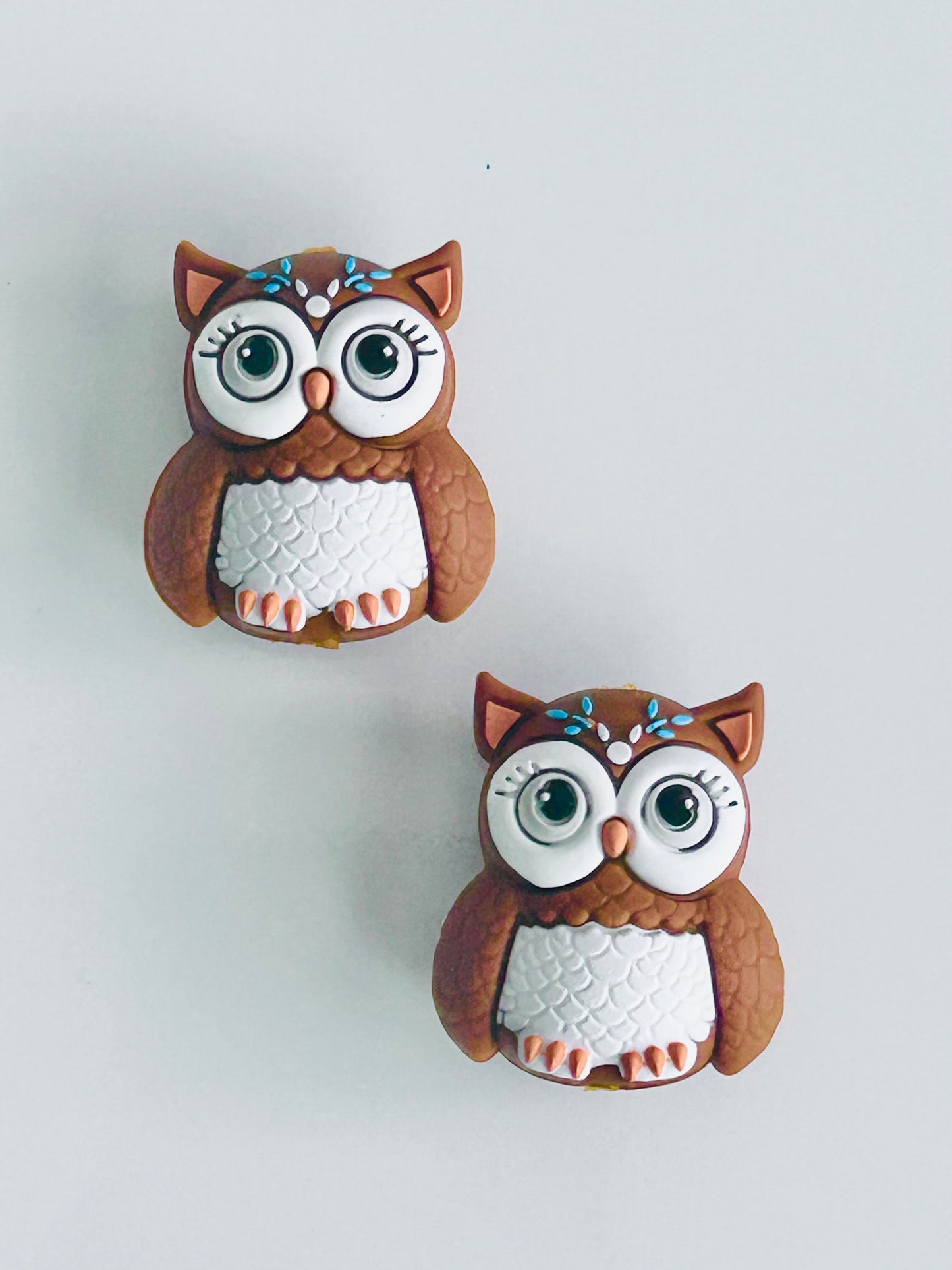 3D Owl Focal