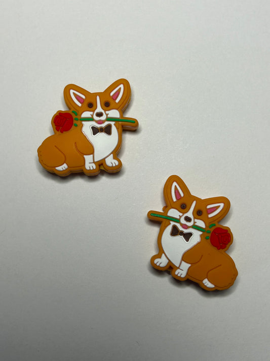 Corgi Dog Focal
